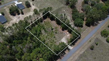 MORRISTON FL Property