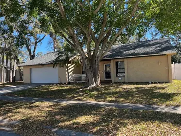 PALM HARBOR FL Home