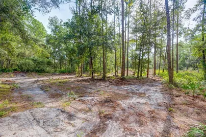 WEBSTER FL Property