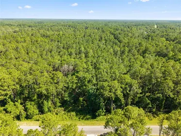 EUSTIS FL Property