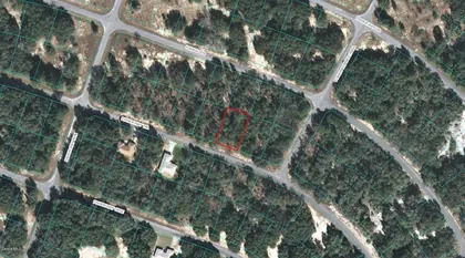 OCKLAWAHA FL Property