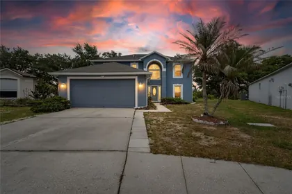 VALRICO FL Home