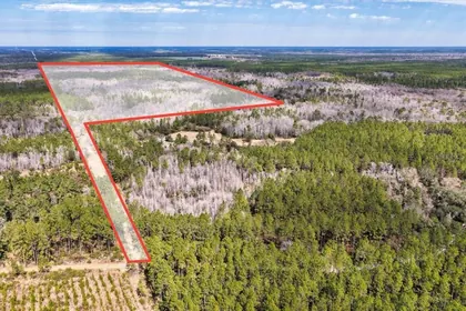 CHIEFLAND FL Property