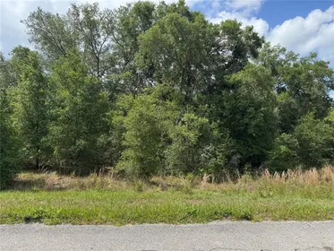 ALTOONA FL Property