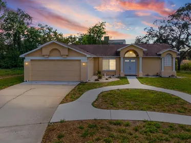 SPRING HILL FL Home