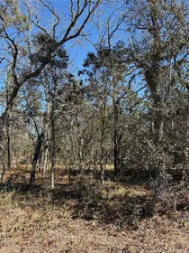 DUNNELLON FL Property