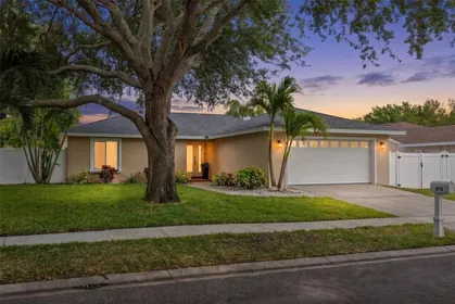 PALM HARBOR FL Home