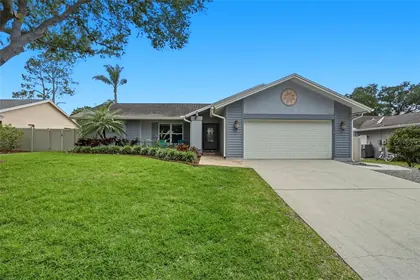 SAFETY HARBOR FL Home