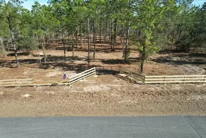 DUNNELLON FL Property