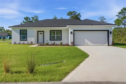 OCKLAWAHA FL Home
