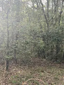 BRONSON FL Property