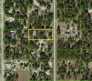 DUNNELLON FL Property