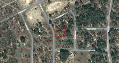 OCKLAWAHA FL Property