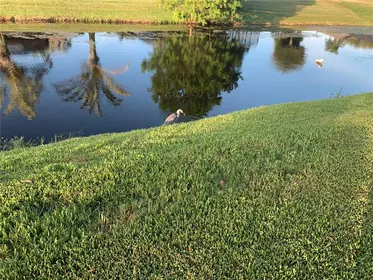 ROTONDA WEST FL Property