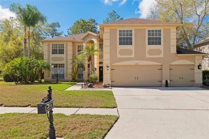 PALM HARBOR FL Home