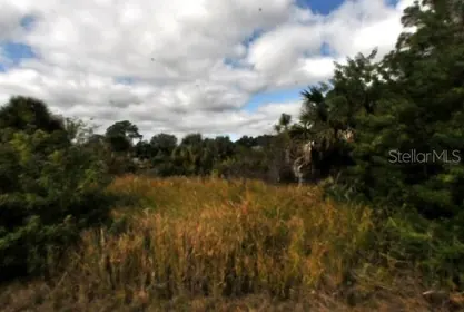 NORTH PORT FL Property
