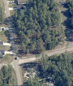 CITRUS SPRINGS FL Property