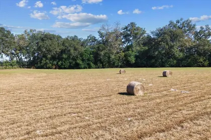 TRENTON FL Property
