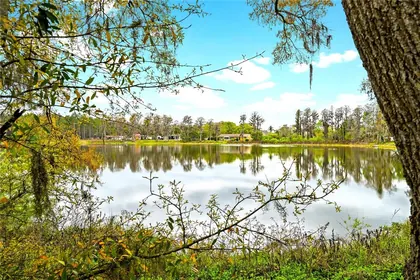 ODESSA FL Property