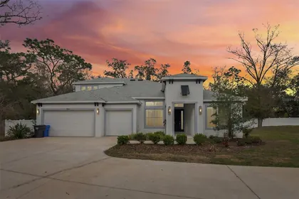 LUTZ FL Home