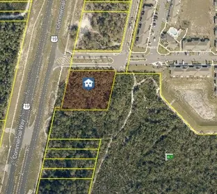 WEEKI WACHEE FL Property