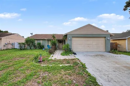 LUTZ FL Home