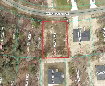 OCKLAWAHA FL Property