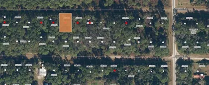 GEORGETOWN FL Property