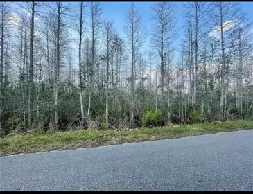 ST CLOUD FL Property