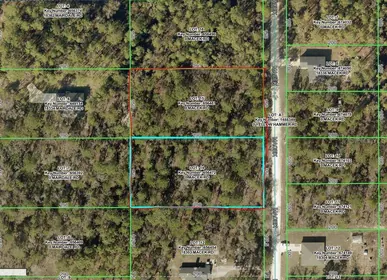 WEEKI WACHEE FL Property