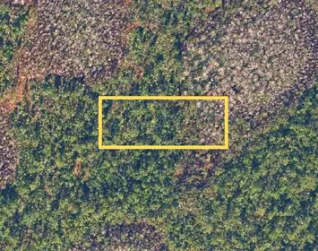 CHRISTMAS FL Property