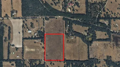 MORRISTON FL Property