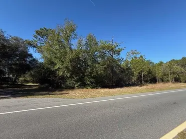 CITRUS SPRINGS FL Property