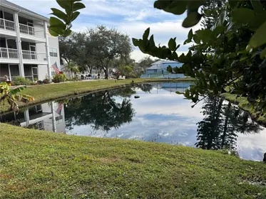 LUTZ FL Home