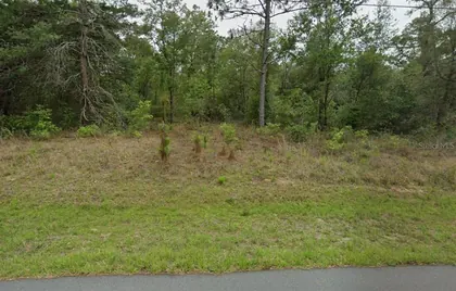 CITRUS SPRINGS FL Property