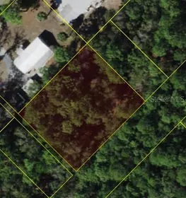 HOMOSASSA FL Property