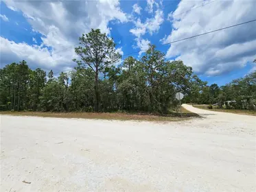 WEEKI WACHEE FL Property