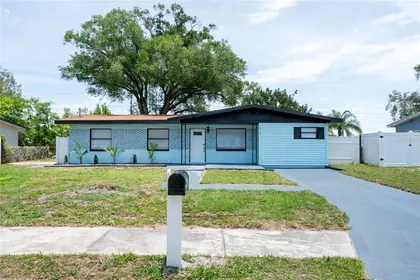 OLDSMAR FL Home