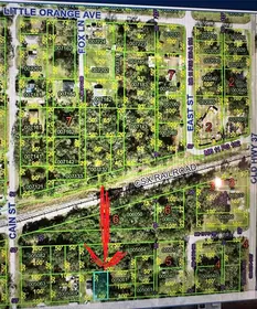 MULBERRY FL Property