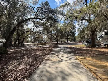 SALT SPRINGS FL Property
