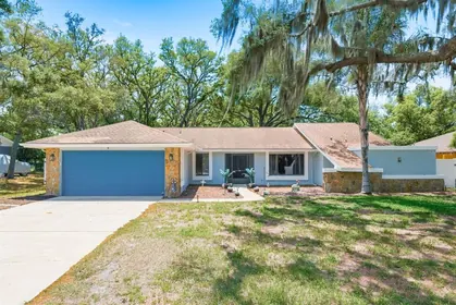 SPRING HILL FL Home
