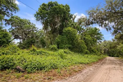 ANTHONY FL Property