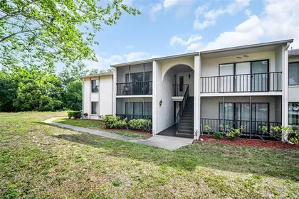 PALM HARBOR FL Home