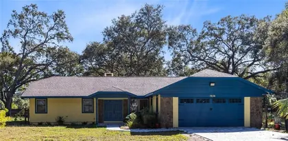 MOUNT DORA FL Home