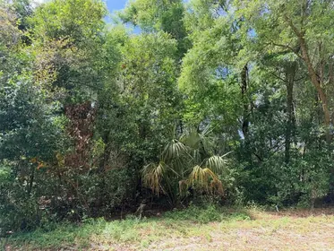 TRENTON FL Property