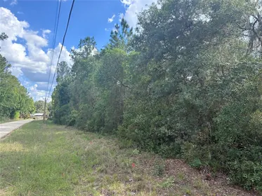 CITRA FL Property
