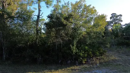 PUNTA GORDA FL Property
