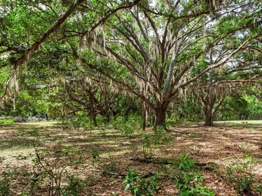 THONOTOSASSA FL Property