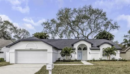 DUNEDIN FL Home