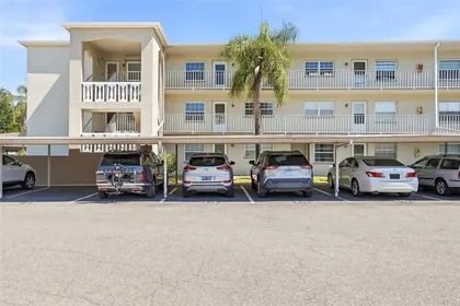 DUNEDIN FL Home